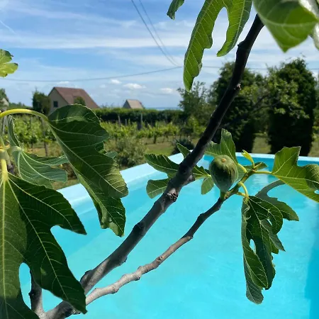 Fuege Vendeghaz Vakantiehuis *